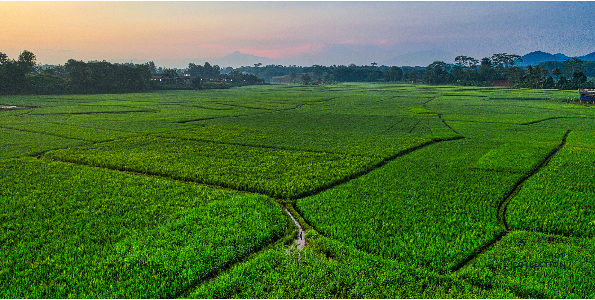 shialik agro foods questions